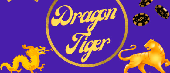 Dragon or Tiger - របៀបលេង Dragon Tiger របស់ Playtech